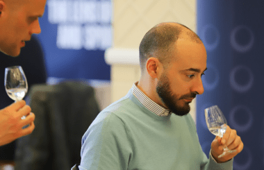 Beyond the Expected: Gin's Experimental Edge 