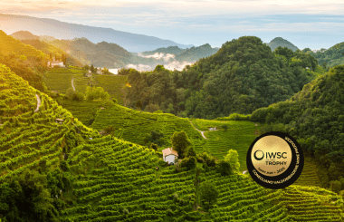 IWSC Global Judging 2025: Conegliano Valdobbiadene Producer Trophy winner announced