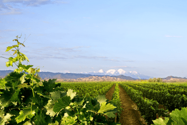 IWSC is coming to China