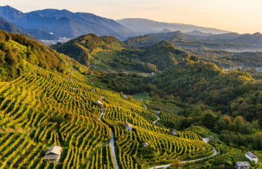 Top scorers from Prosecco's highest tier: Conegliano Valdobbiadene Prosecco Superiore
